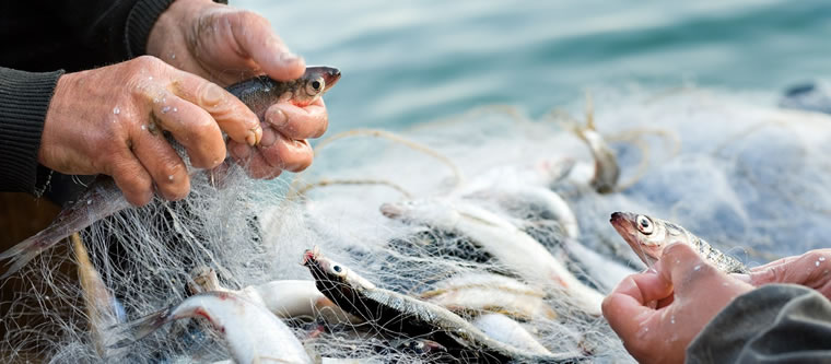 Pescatori sul Lago Maggiore