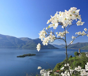 Primavera Lago Maggiore