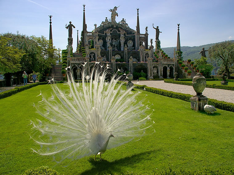 Stresa e le isole Borromee: l'isola nella Penisola