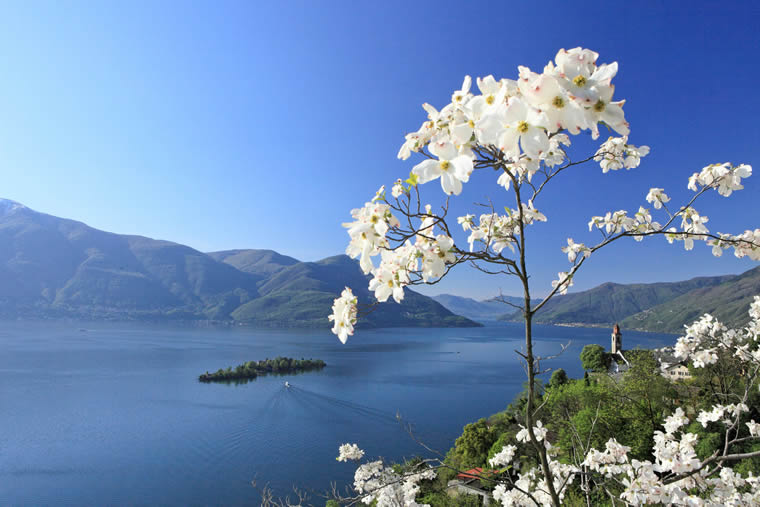 Primavera Lago Maggiore